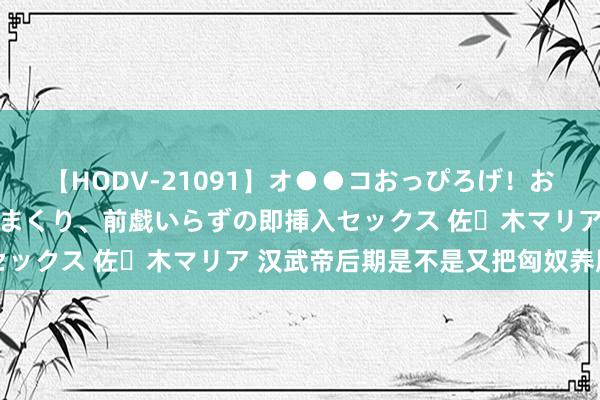 【HODV-21091】オ●●コおっぴろげ！お姉ちゃん 四六時中濡れまくり、前戯いらずの即挿入セックス 佐々木マリア 汉武帝后期是不是又把匈奴养肥了