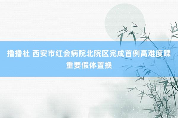 撸撸社 西安市红会病院北院区完成首例高难度踝重要假体置换