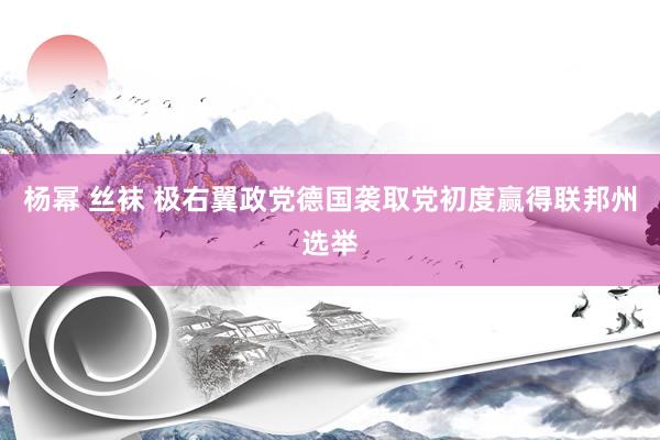 杨幂 丝袜 极右翼政党德国袭取党初度赢得联邦州选举