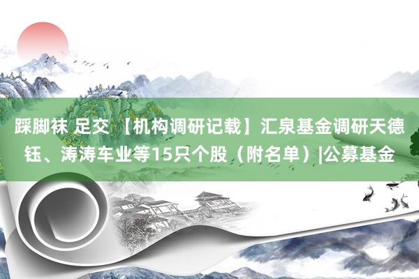 踩脚袜 足交 【机构调研记载】汇泉基金调研天德钰、涛涛车业等15只个股（附名单）|公募基金