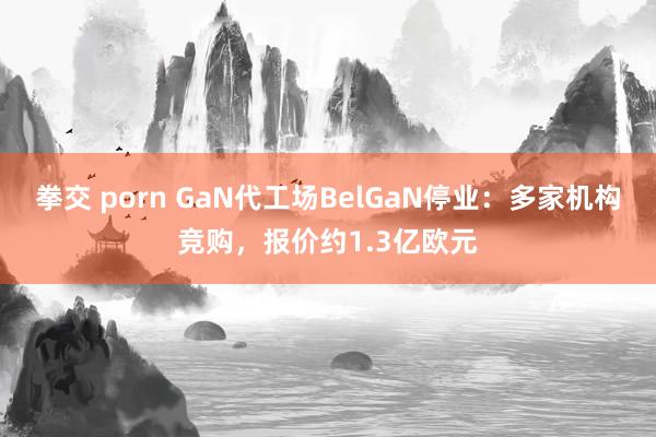 拳交 porn GaN代工场BelGaN停业：多家机构竞购，报价约1.3亿欧元