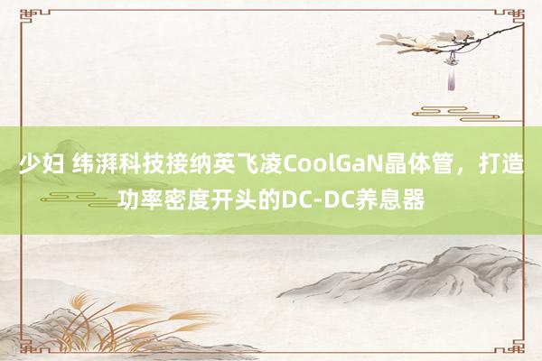 少妇 纬湃科技接纳英飞凌CoolGaN晶体管，打造功率密度开头的DC-DC养息器