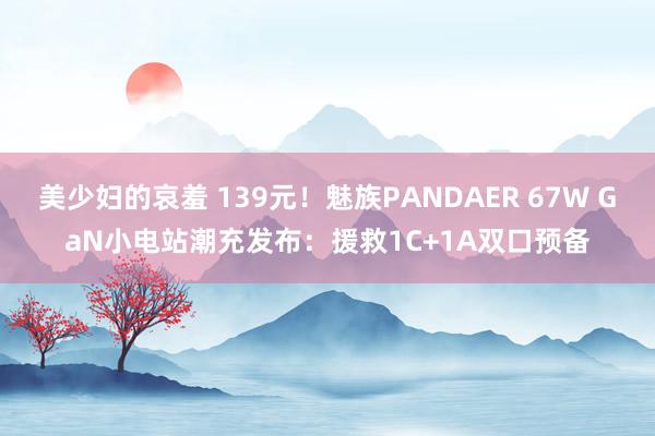 美少妇的哀羞 139元！魅族PANDAER 67W GaN小电站潮充发布：援救1C+1A双口预备