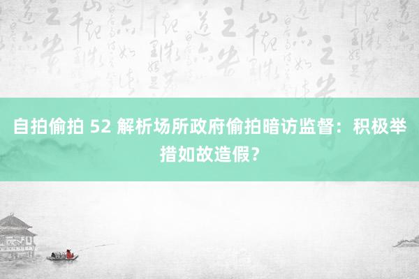 自拍偷拍 52 解析场所政府偷拍暗访监督：积极举措如故造假？