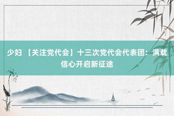 少妇 【关注党代会】十三次党代会代表团：满载信心开启新征途