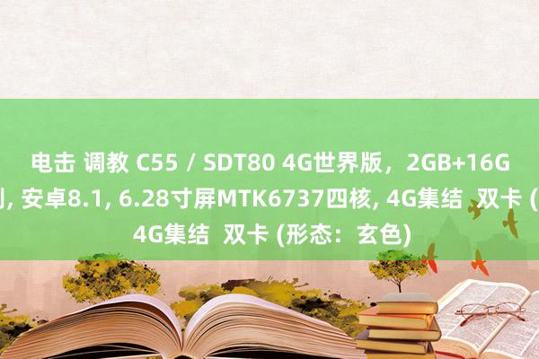 电击 调教 C55 / SDT80 4G世界版，2GB+16GB，脸部识别， 安卓8.1， 6.28寸屏MTK6737四核， 4G集结  双卡 (形态：玄色)