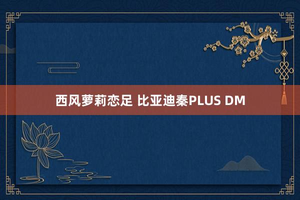 西风萝莉恋足 比亚迪秦PLUS DM